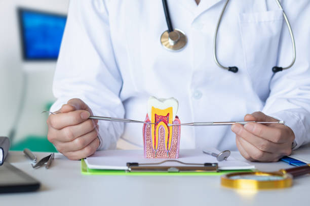 Best Pediatric Emergency Dentist in Itasca, TX
